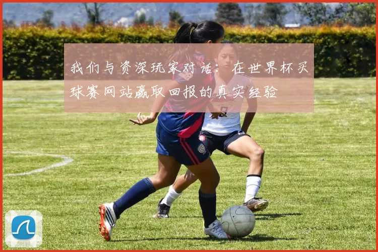 我们与资深玩家对话:在世界杯买球赛网站赢取回报的真实经验