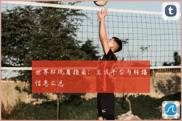 世界杯观看指南：主流平台与转播信息汇总