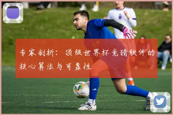 专家剖析:顶级世界杯竞猜软件的核心算法与可靠性