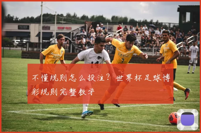 不懂规则怎么投注?世界杯足球博彩规则完整教学
