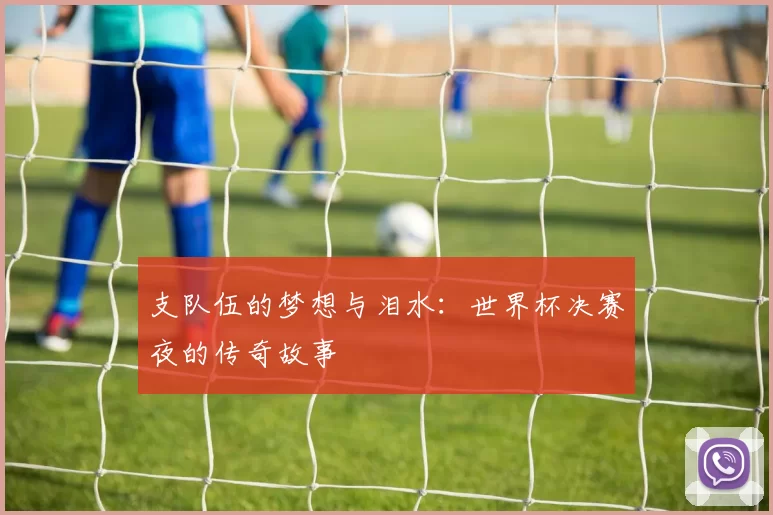 支队伍的梦想与泪水:世界杯决赛夜的传奇故事