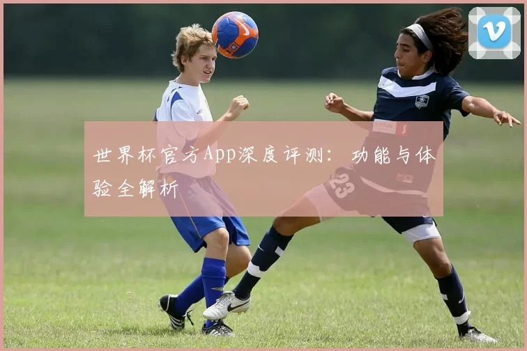 世界杯官方App深度评测:功能与体验全解析