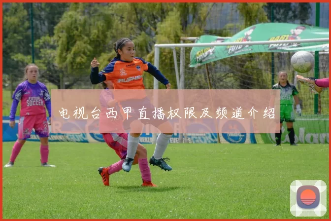 电视台西甲直播权限及频道介绍