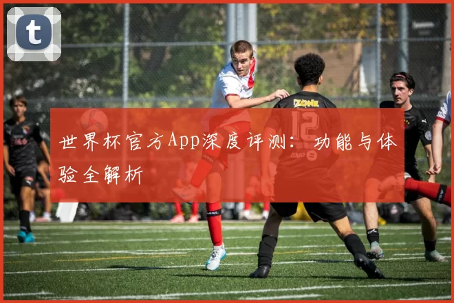 世界杯官方App深度评测:功能与体验全解析