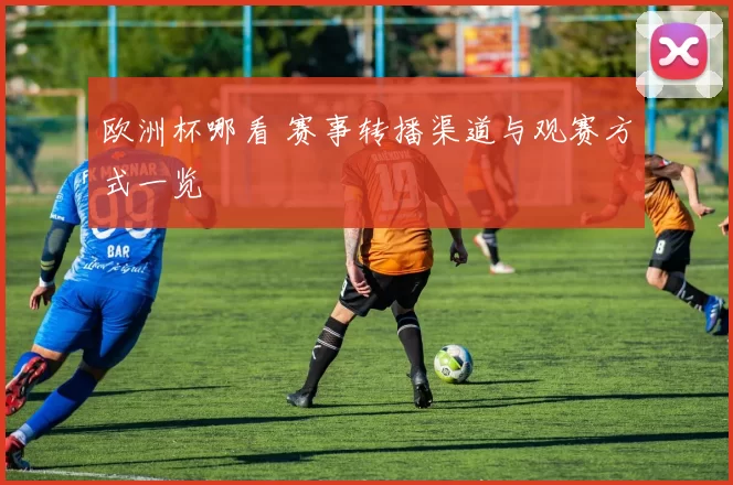 欧洲杯哪看 赛事转播渠道与观赛方式一览