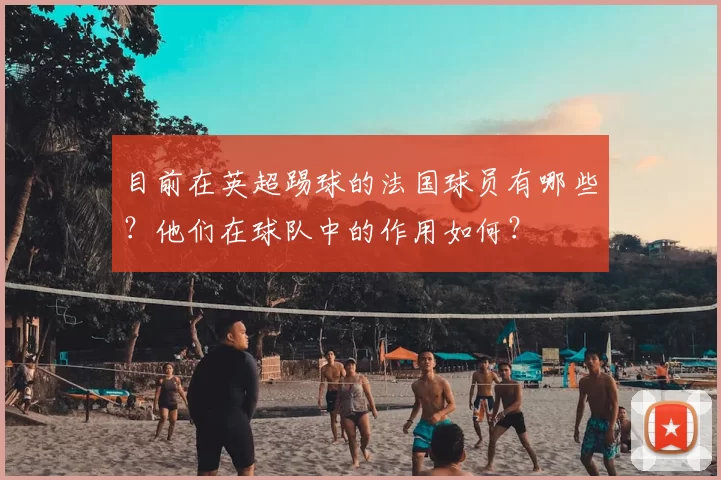 目前在英超踢球的法国球员有哪些?他们在球队中的作用如何?