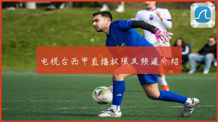 电视台西甲直播权限及频道介绍