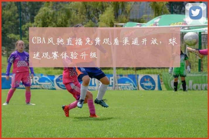 CBA风驰直播免费观看渠道开放，球迷观赛体验升级