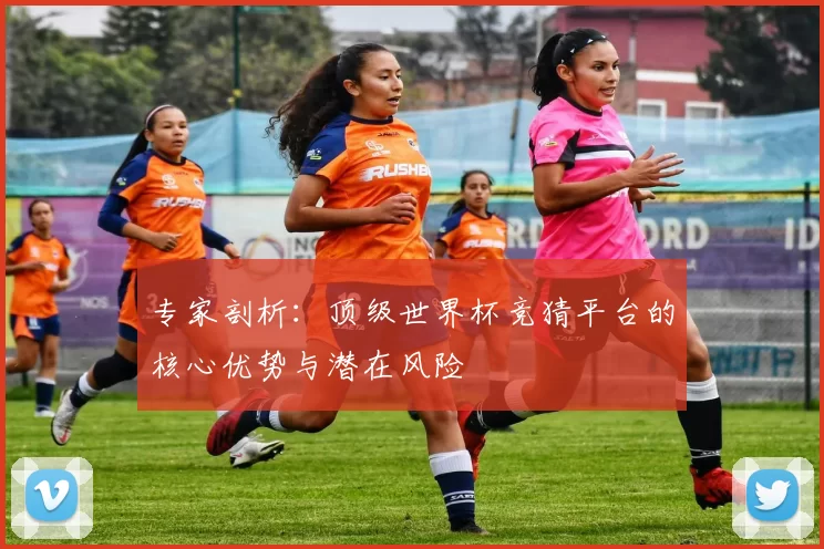 专家剖析:顶级世界杯竞猜平台的核心优势与潜在风险