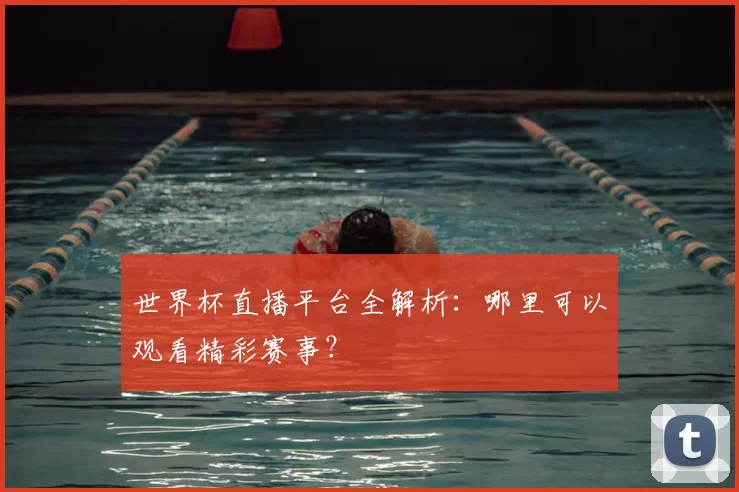世界杯直播平台全解析:哪里可以观看精彩赛事?