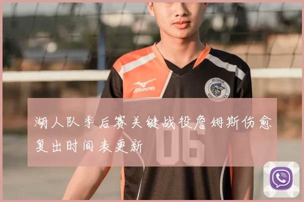 湖人队季后赛关键战役詹姆斯伤愈复出时间表更新