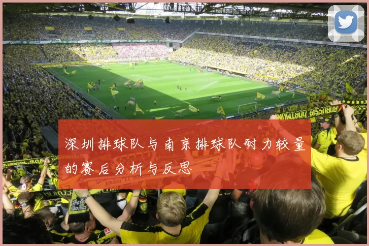 深圳排球队与南京排球队耐力较量的赛后分析与反思