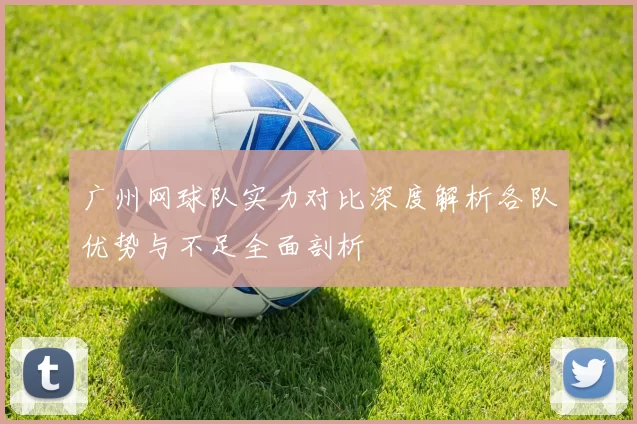 广州网球队实力对比深度解析各队优势与不足全面剖析