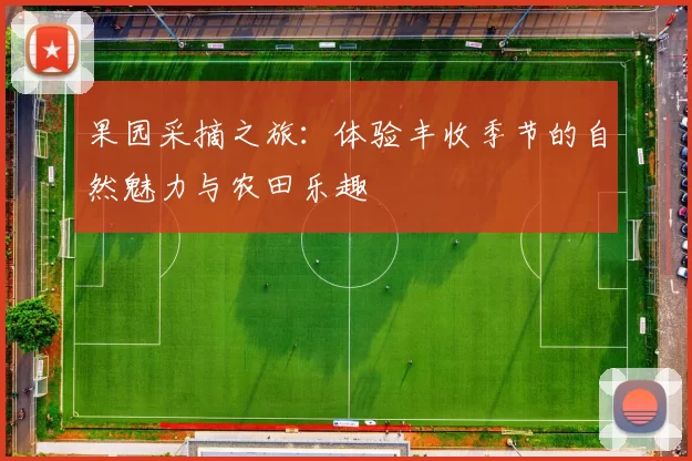 果园采摘之旅:体验丰收季节的自然魅力与农田乐趣