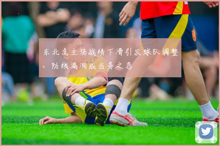 东北虎主场战绩下滑引发球队调整,防线漏洞成当务之急