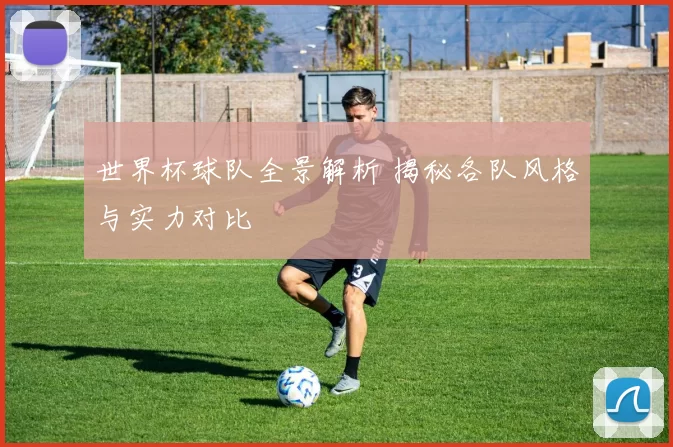世界杯球队全景解析 揭秘各队风格与实力对比