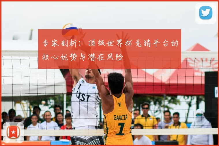 专家剖析:顶级世界杯竞猜平台的核心优势与潜在风险