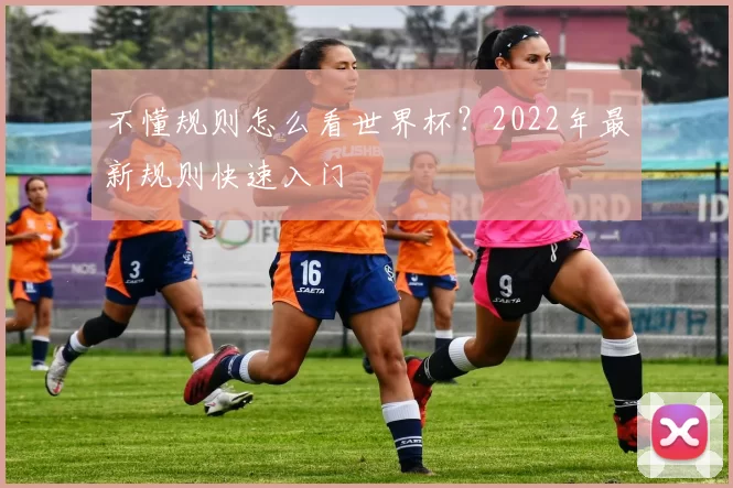 不懂规则怎么看世界杯?2022年最新规则快速入门