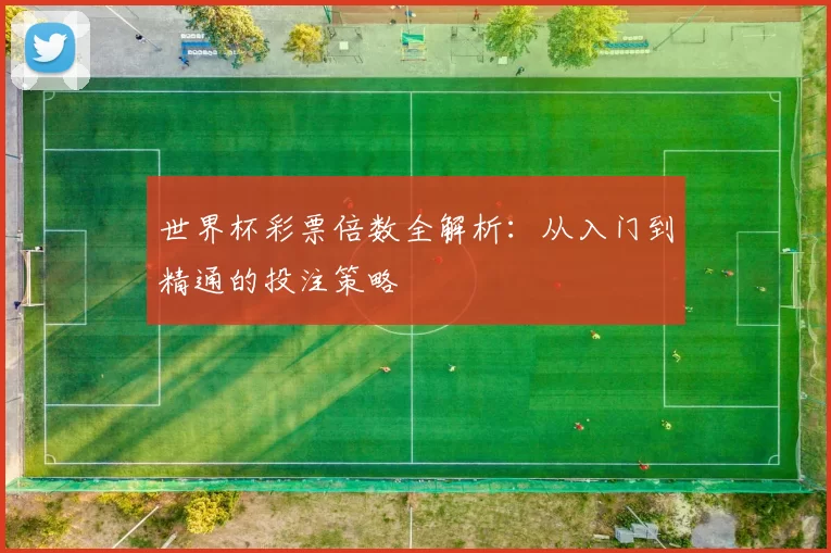 世界杯彩票倍数全解析:从入门到精通的投注策略