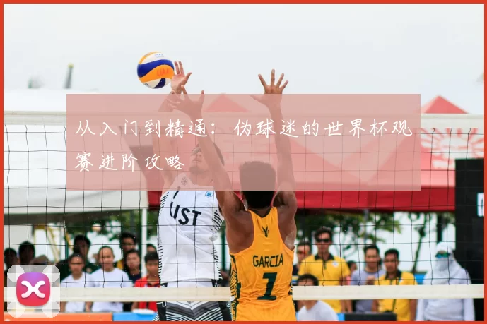 从入门到精通:伪球迷的世界杯观赛进阶攻略