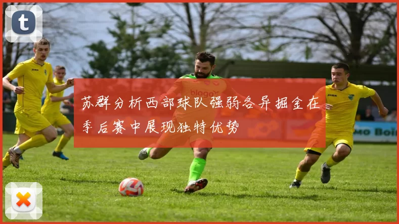 苏群分析西部球队强弱各异掘金在季后赛中展现独特优势